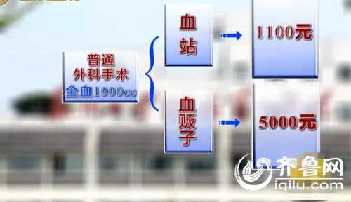 深圳家具“贴绿”企业将经历“洗牌”过程:太阳成集团tyc7111cc(图2) 太阳成集团tyc7111cc