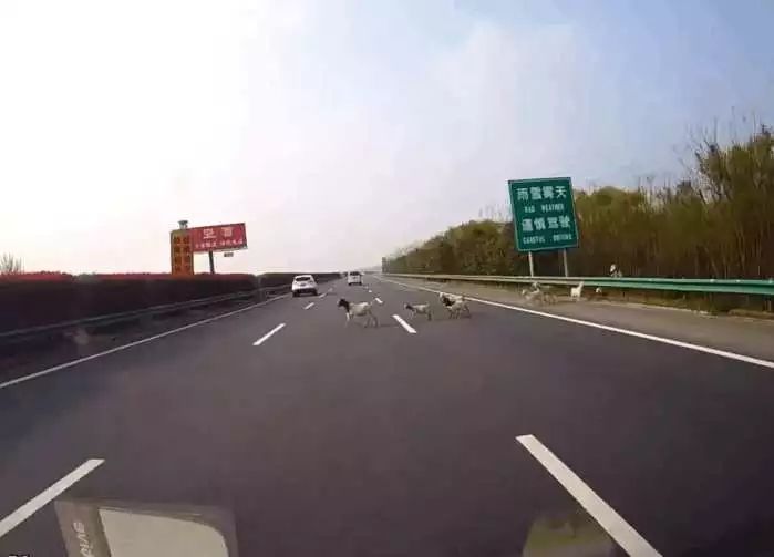 太阳成集团tyc7111cc