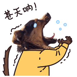 ‘太阳成集团tyc7111cc’原创不买卢卡库了?国米正式豪购另一大牌前锋!他不输莱万远胜格子(图3) 太阳成集团tyc7111cc