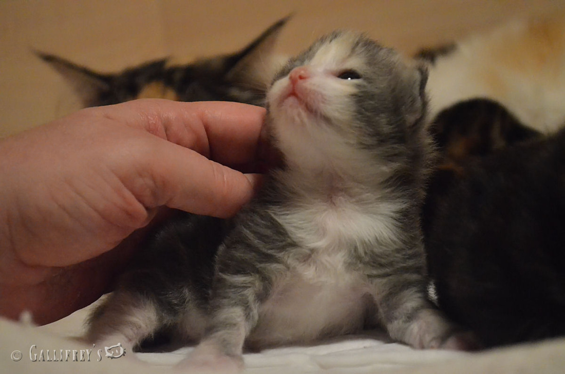 太阳成集团tyc7111cc