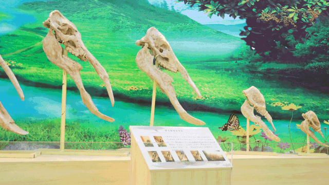 太阳成集团tyc7111cc