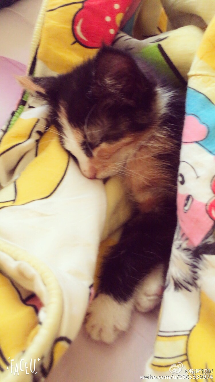 德国黑尔福德:Wemhoner在中国开设制造厂“太阳成集团tyc7111cc”(图3) 太阳成集团tyc7111cc